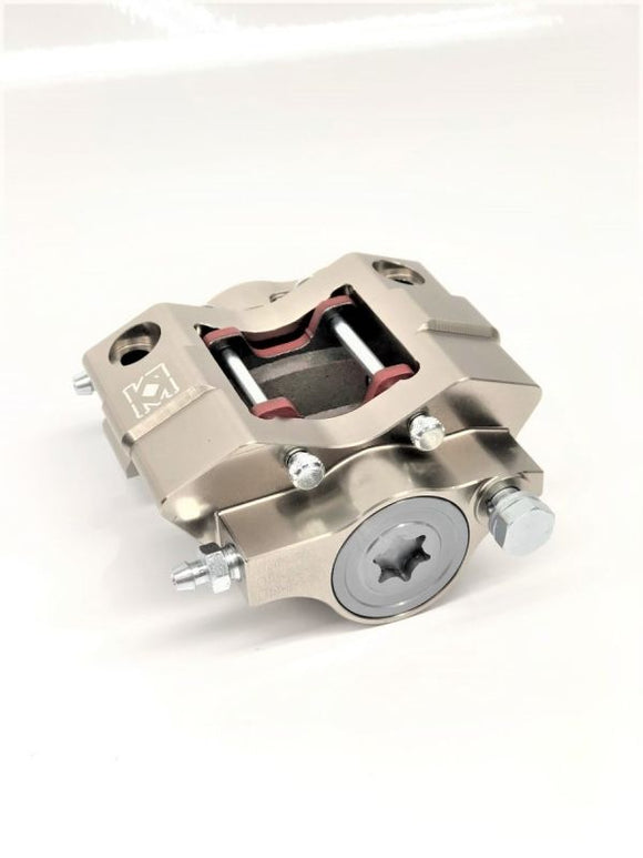 Rear Brake Calipers & Parts
